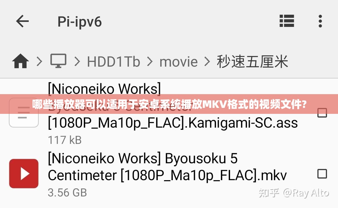 哪些播放器可以适用于安卓系统播放MKV格式的视频文件?