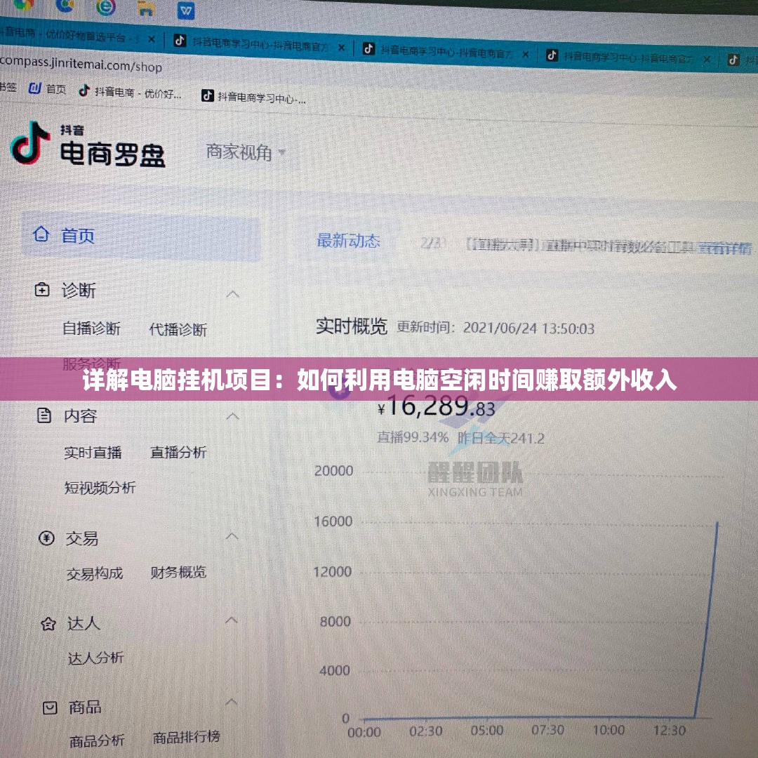 详解电脑挂机项目：如何利用电脑空闲时间赚取额外收入