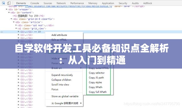 自学软件开发工具必备知识点全解析：从入门到精通