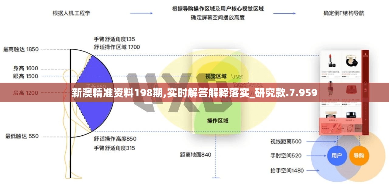 三肖必中三期必出凤凰|经典解释落实_探索版.3.92