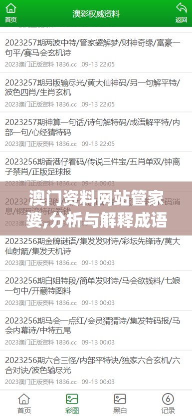 新澳精准资料免费提供网站有哪些管家婆,探索城市新风尚与秘密角落_扩展版.8.385