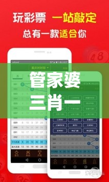 今晚澳门六开彩开奖结果和查询198期,探索澳门的无限魅力与精彩活动_速配款.4.670