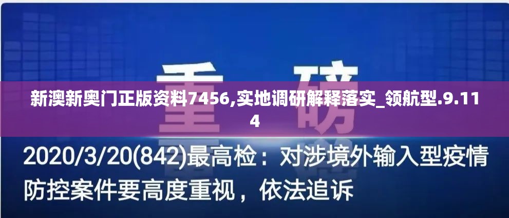 新澳新奥门正版资料7456,实地调研解释落实_领航型.9.114