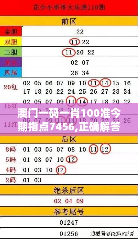 澳门一码一肖100准今期指点7456,正确解答落实_娱乐版SIP.3.455