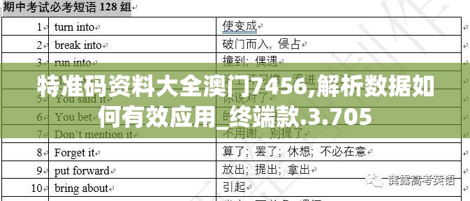 特准码资料大全澳门7456,解析数据如何有效应用_终端款.3.705