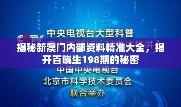 澳门一肖一码一一特一中厂：揭秘澳门特码的秘密与赔率分析