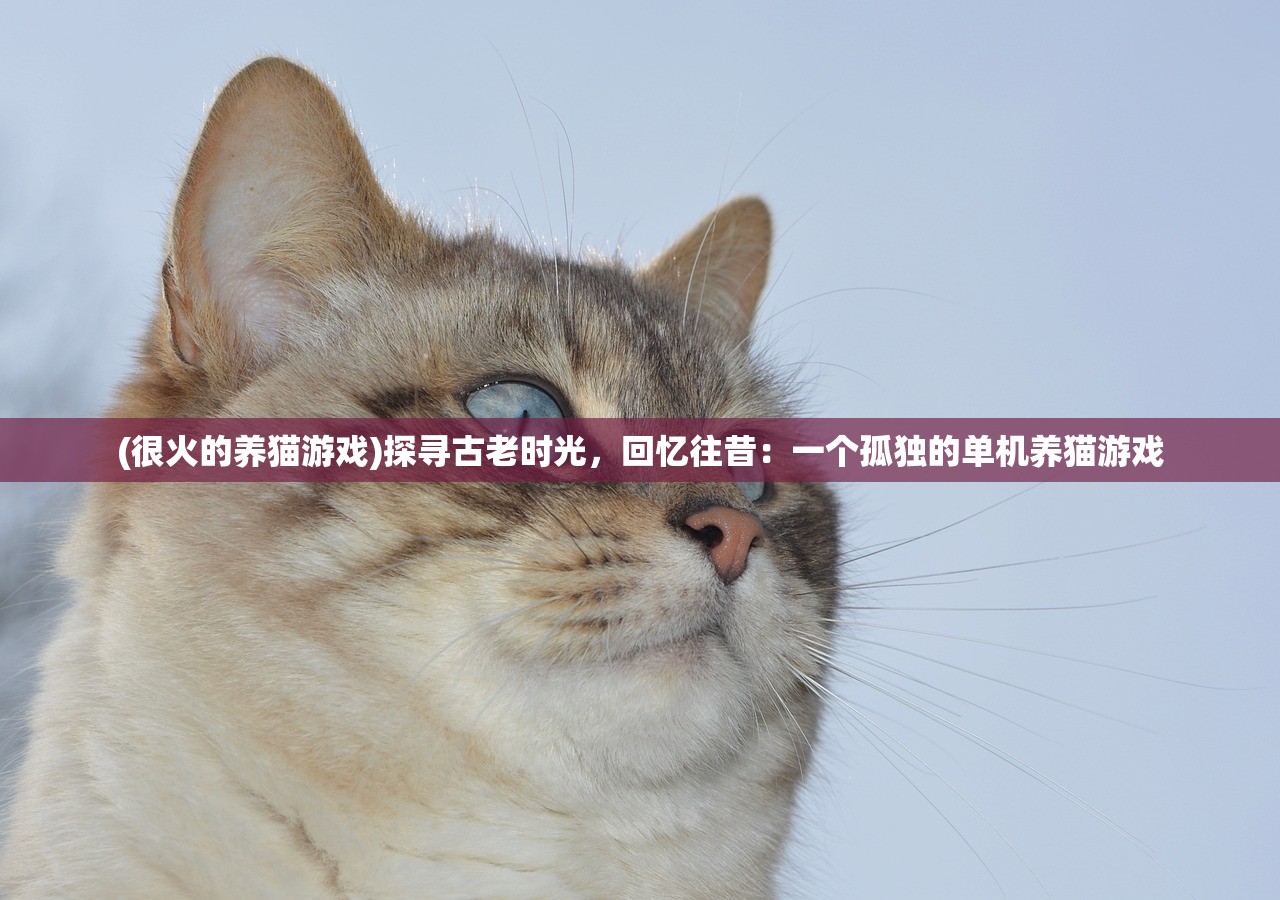 (很火的养猫游戏)探寻古老时光，回忆往昔：一个孤独的单机养猫游戏