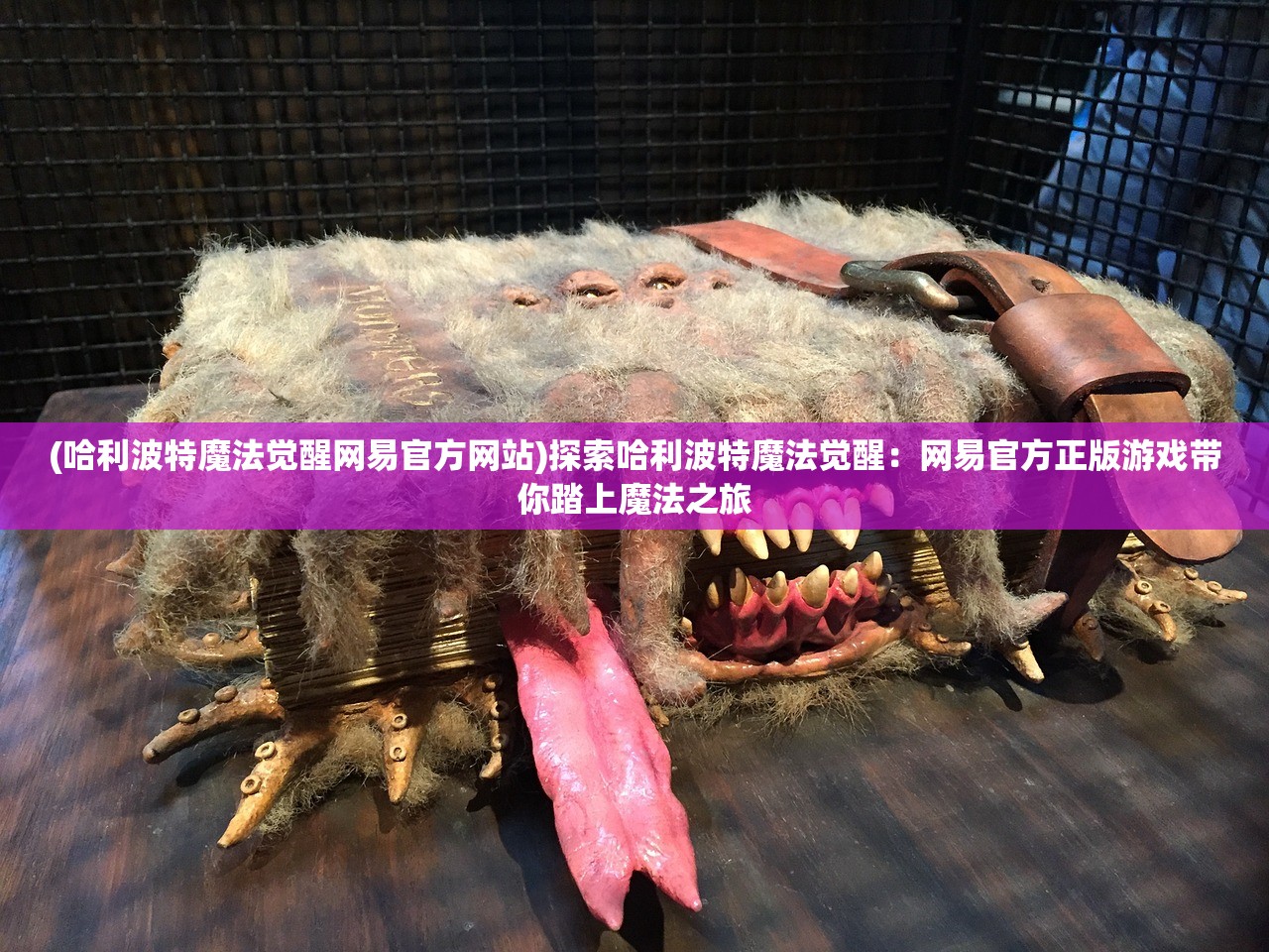 (哈利波特魔法觉醒网易官方网站)探索哈利波特魔法觉醒：网易官方正版游戏带你踏上魔法之旅