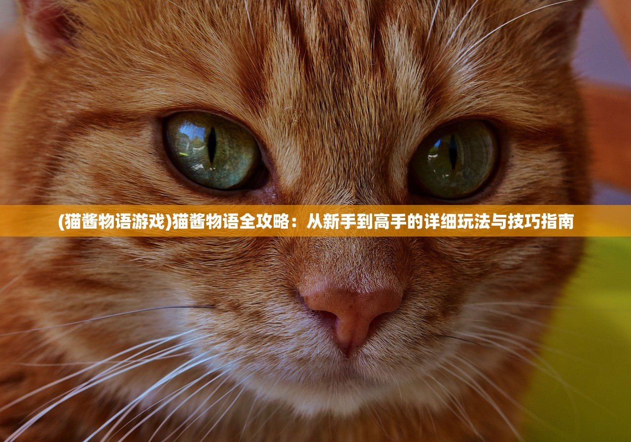 (猫酱物语游戏)猫酱物语全攻略：从新手到高手的详细玩法与技巧指南