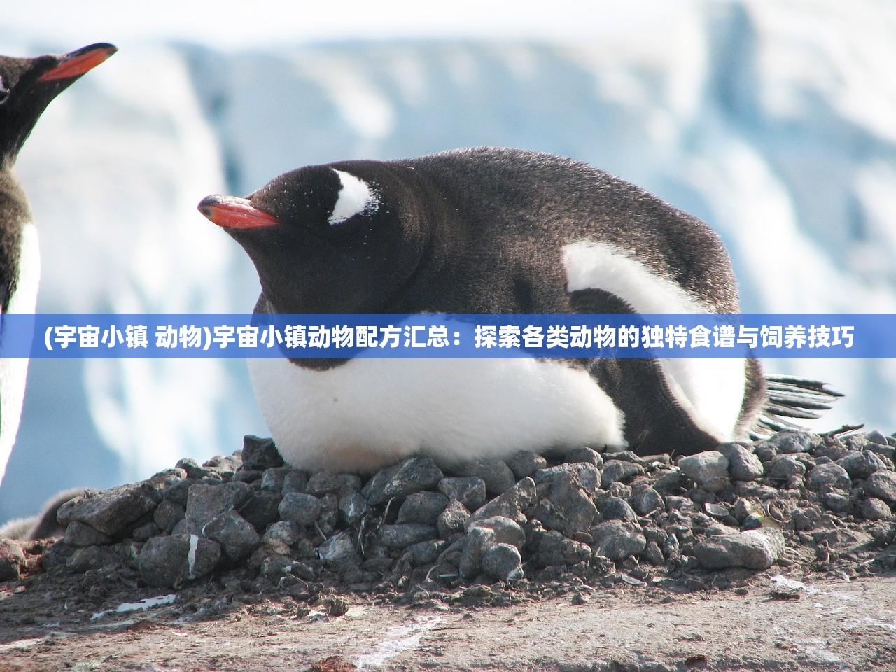 (萌战无双官网下载)萌战无双手游，深度解析手游新宠，探讨其魅力与未来走向
