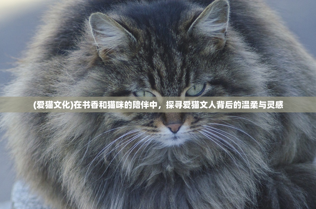 (爱猫文化)在书香和猫咪的陪伴中，探寻爱猫文人背后的温柔与灵感