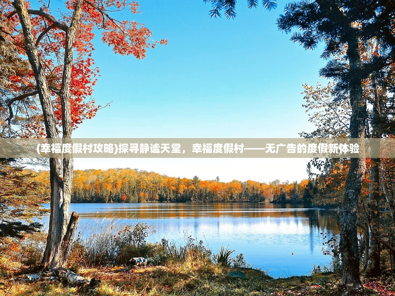 (幸福度假村攻略)探寻静谧天堂，幸福度假村——无广告的度假新体验