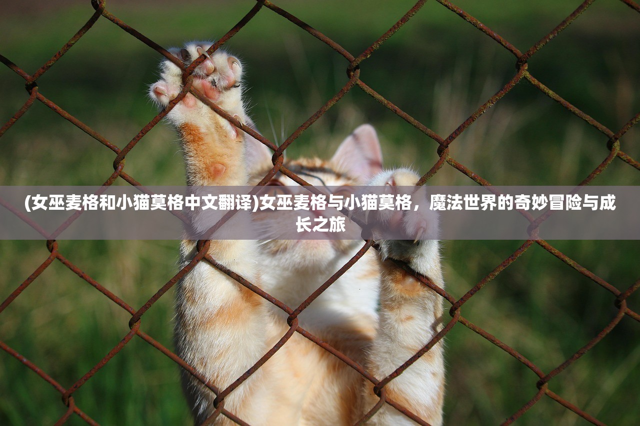 (女巫麦格和小猫莫格中文翻译)女巫麦格与小猫莫格，魔法世界的奇妙冒险与成长之旅