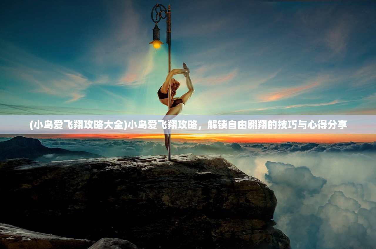 (小鸟爱飞翔攻略大全)小鸟爱飞翔攻略，解锁自由翱翔的技巧与心得分享