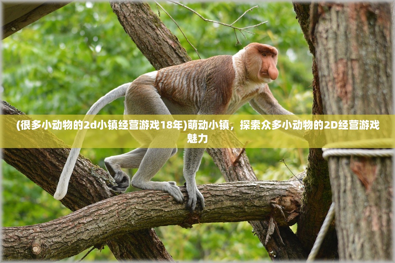 (很多小动物的2d小镇经营游戏18年)萌动小镇，探索众多小动物的2D经营游戏魅力