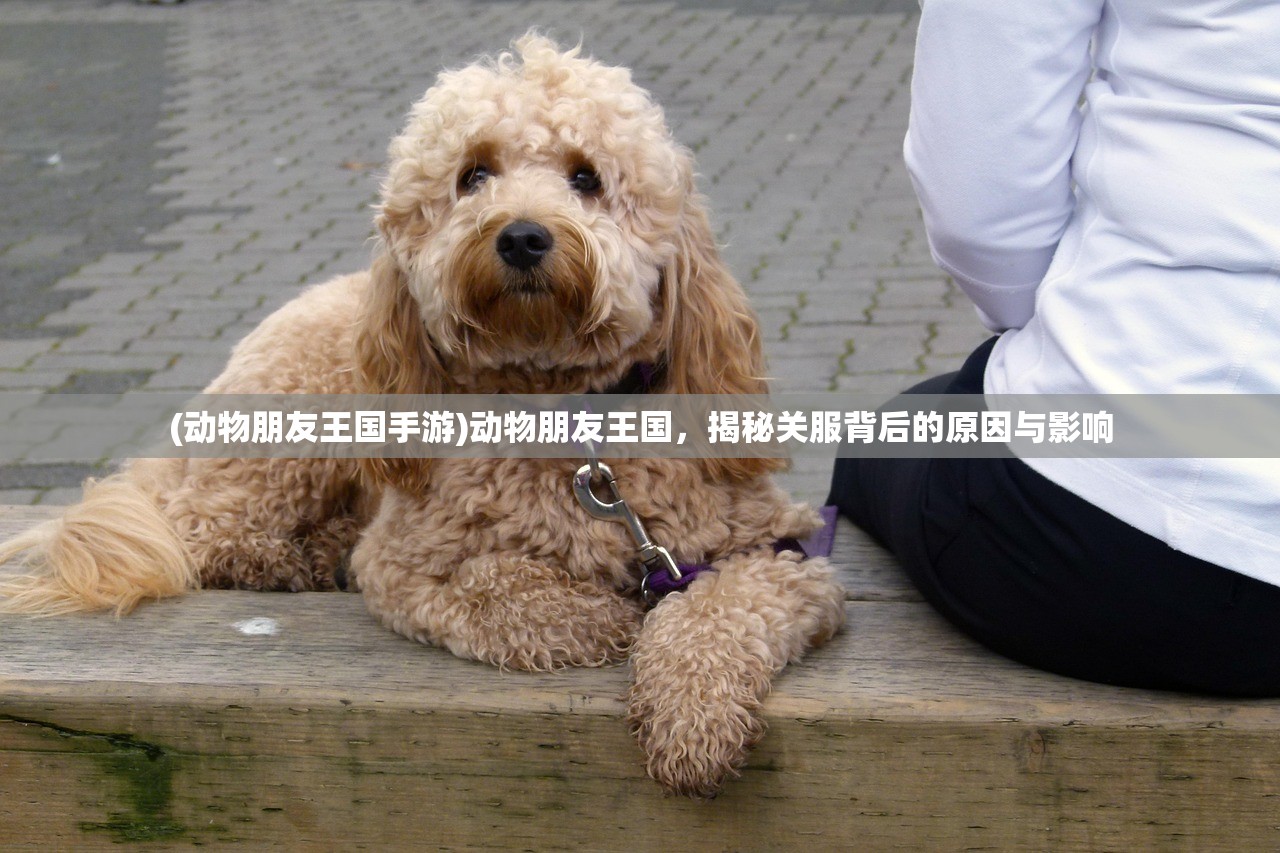 (手游九曲封神怎么玩)手游九曲封神，探索仙侠世界的奇幻之旅，揭秘游戏魅力与玩家心声