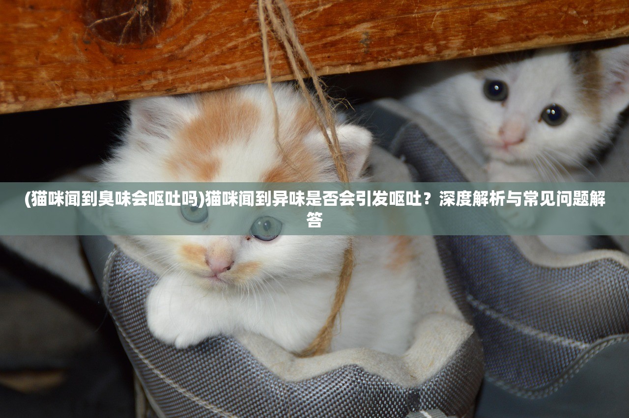 (猫咪闻到臭味会呕吐吗)猫咪闻到异味是否会引发呕吐？深度解析与常见问题解答