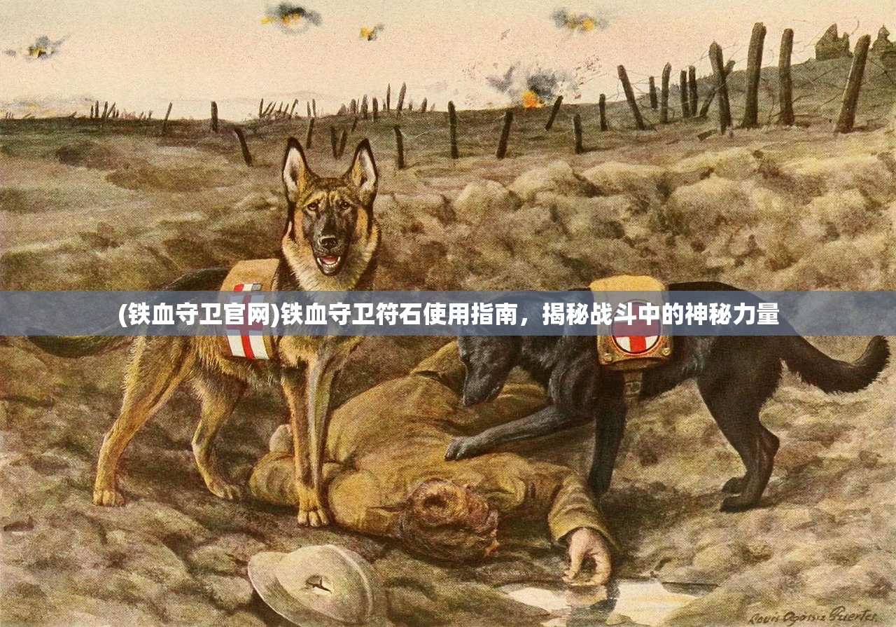 (铁血守卫官网)铁血守卫符石使用指南，揭秘战斗中的神秘力量