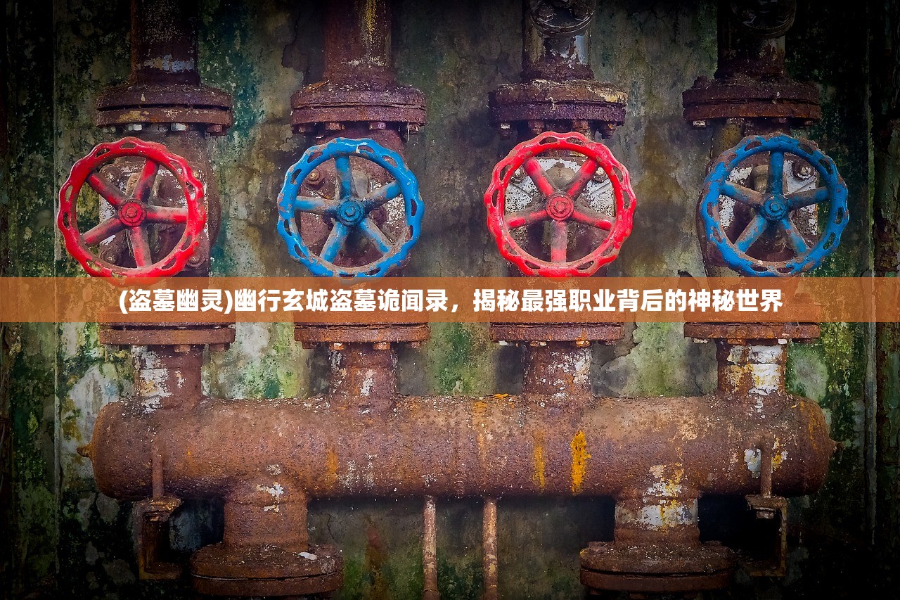 (盗墓幽灵)幽行玄城盗墓诡闻录，揭秘最强职业背后的神秘世界