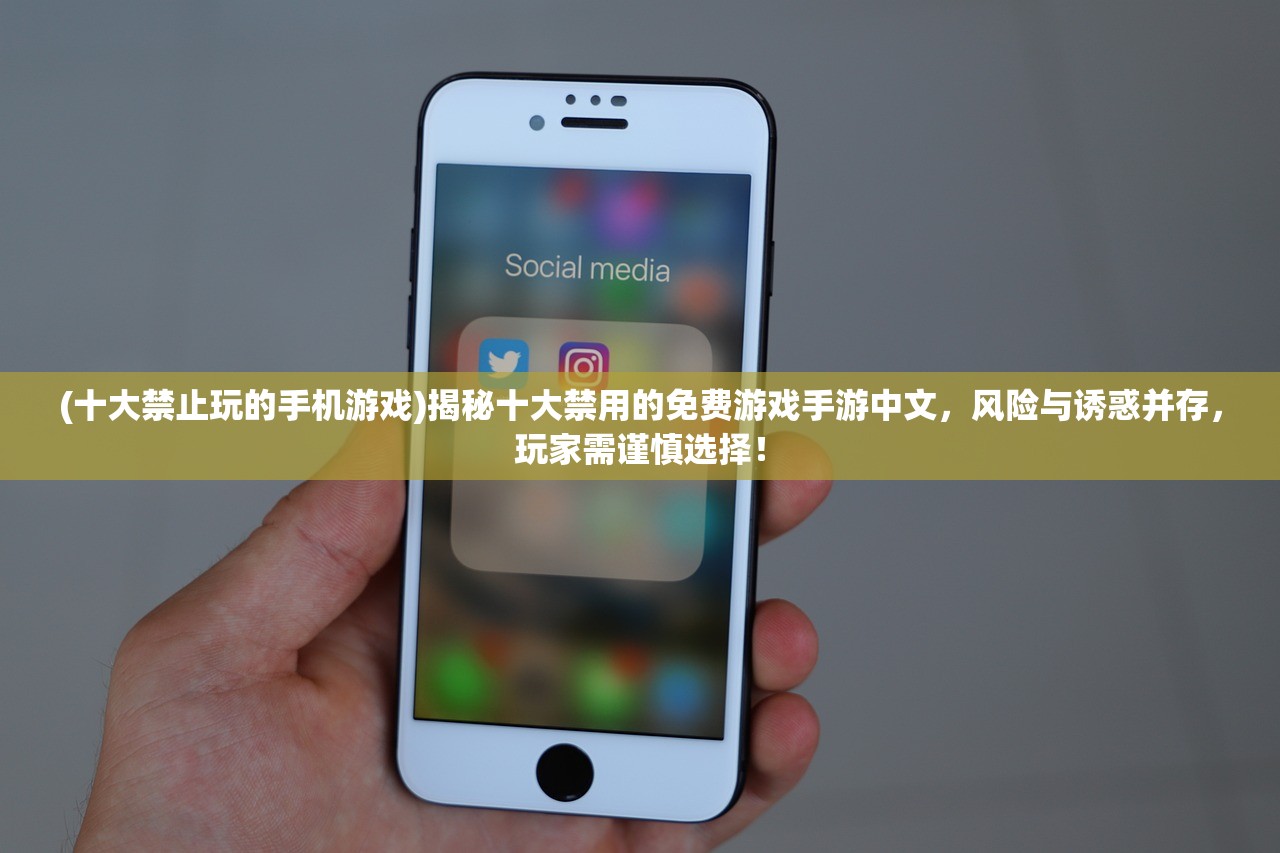 (十大禁止玩的手机游戏)揭秘十大禁用的免费游戏手游中文，风险与诱惑并存，玩家需谨慎选择！