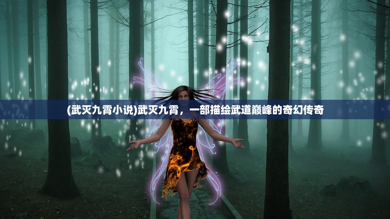 (武灭九霄小说)武灭九霄，一部描绘武道巅峰的奇幻传奇
