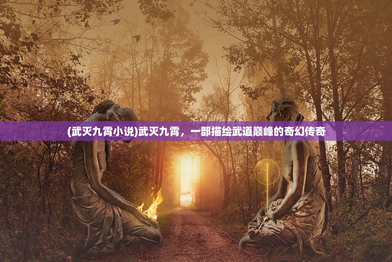 (武灭九霄小说)武灭九霄，一部描绘武道巅峰的奇幻传奇