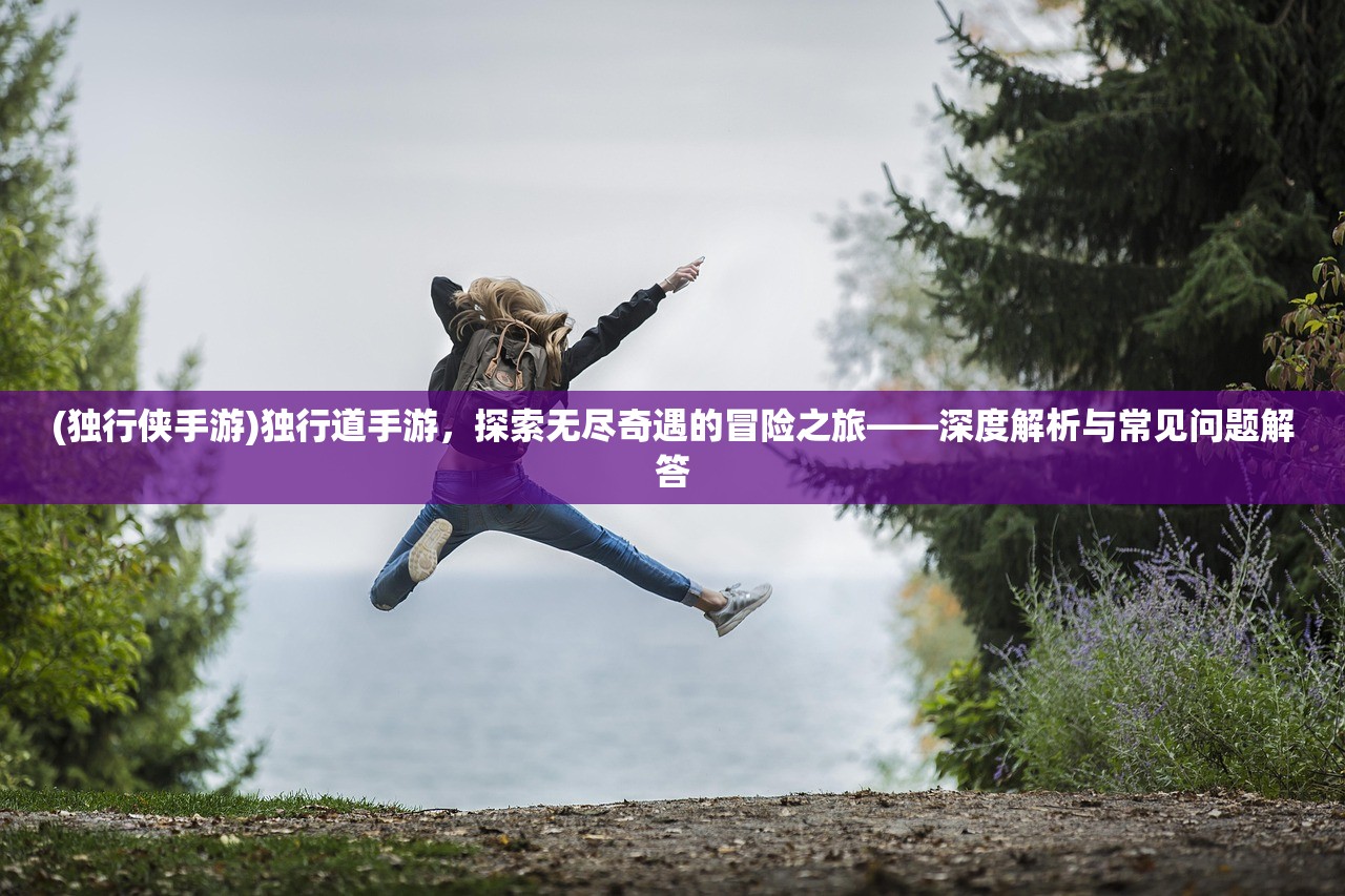 (独行侠手游)独行道手游，探索无尽奇遇的冒险之旅——深度解析与常见问题解答