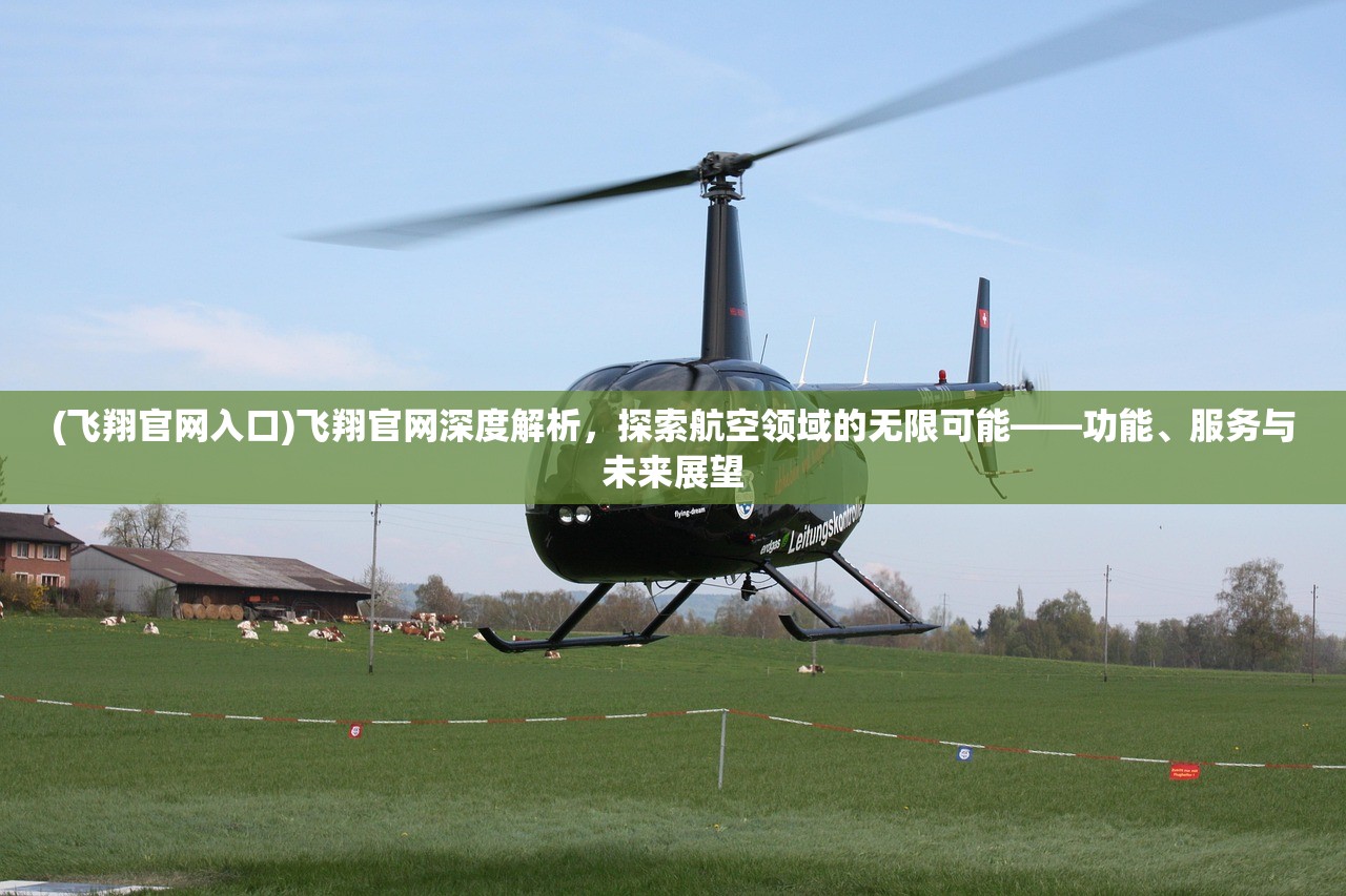 (飞翔官网入口)飞翔官网深度解析，探索航空领域的无限可能——功能、服务与未来展望