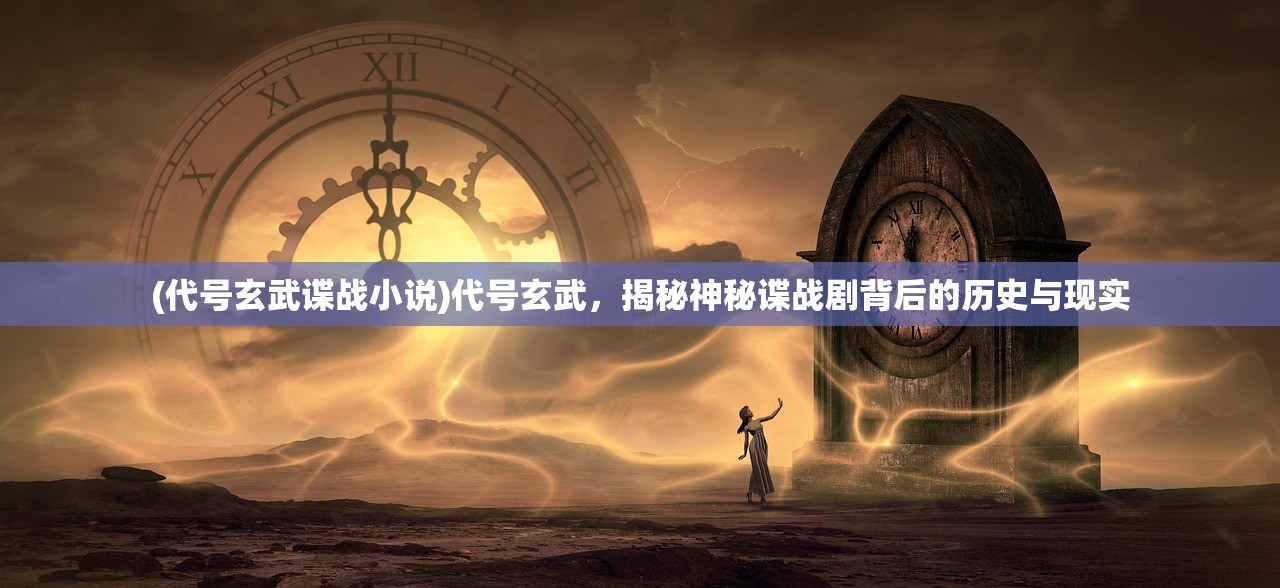 (代号玄武谍战小说)代号玄武，揭秘神秘谍战剧背后的历史与现实