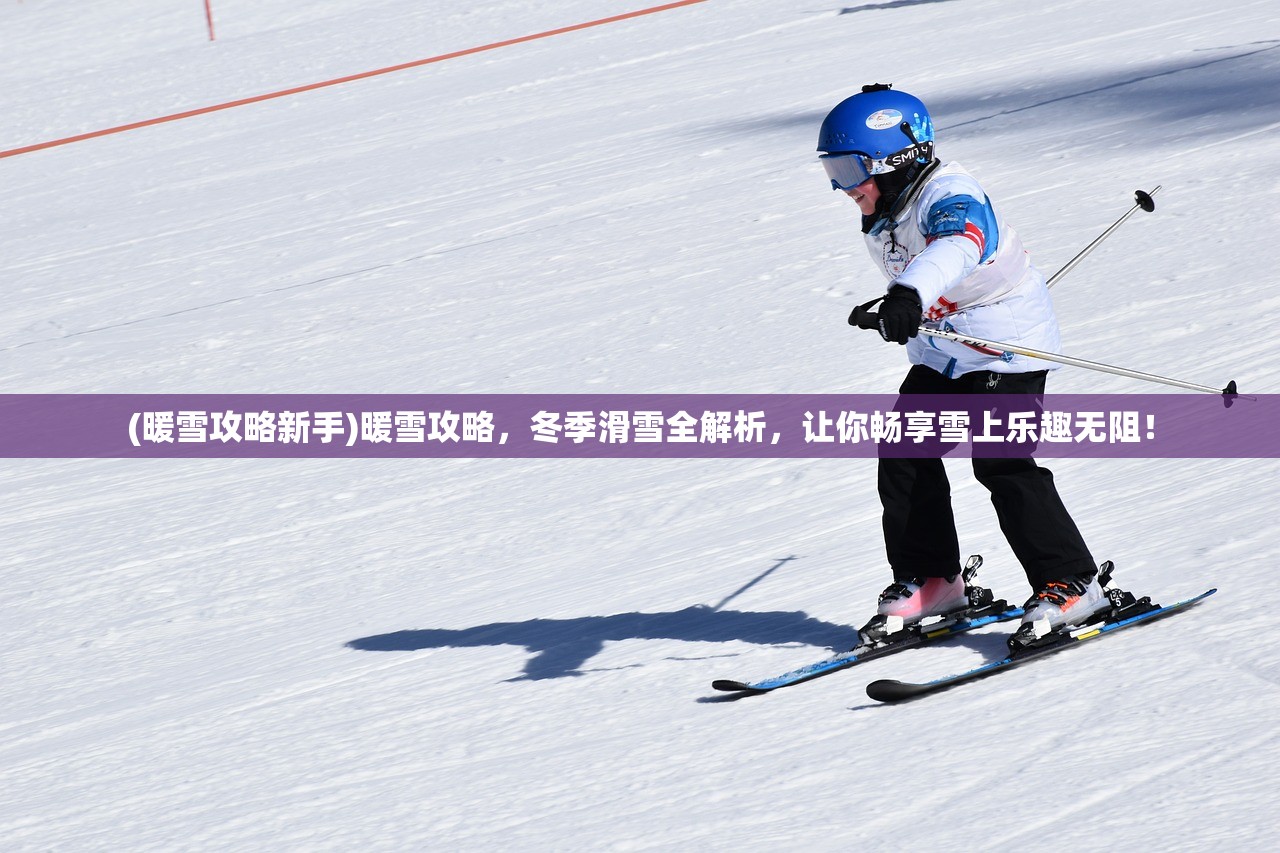 (暖雪攻略新手)暖雪攻略，冬季滑雪全解析，让你畅享雪上乐趣无阻！