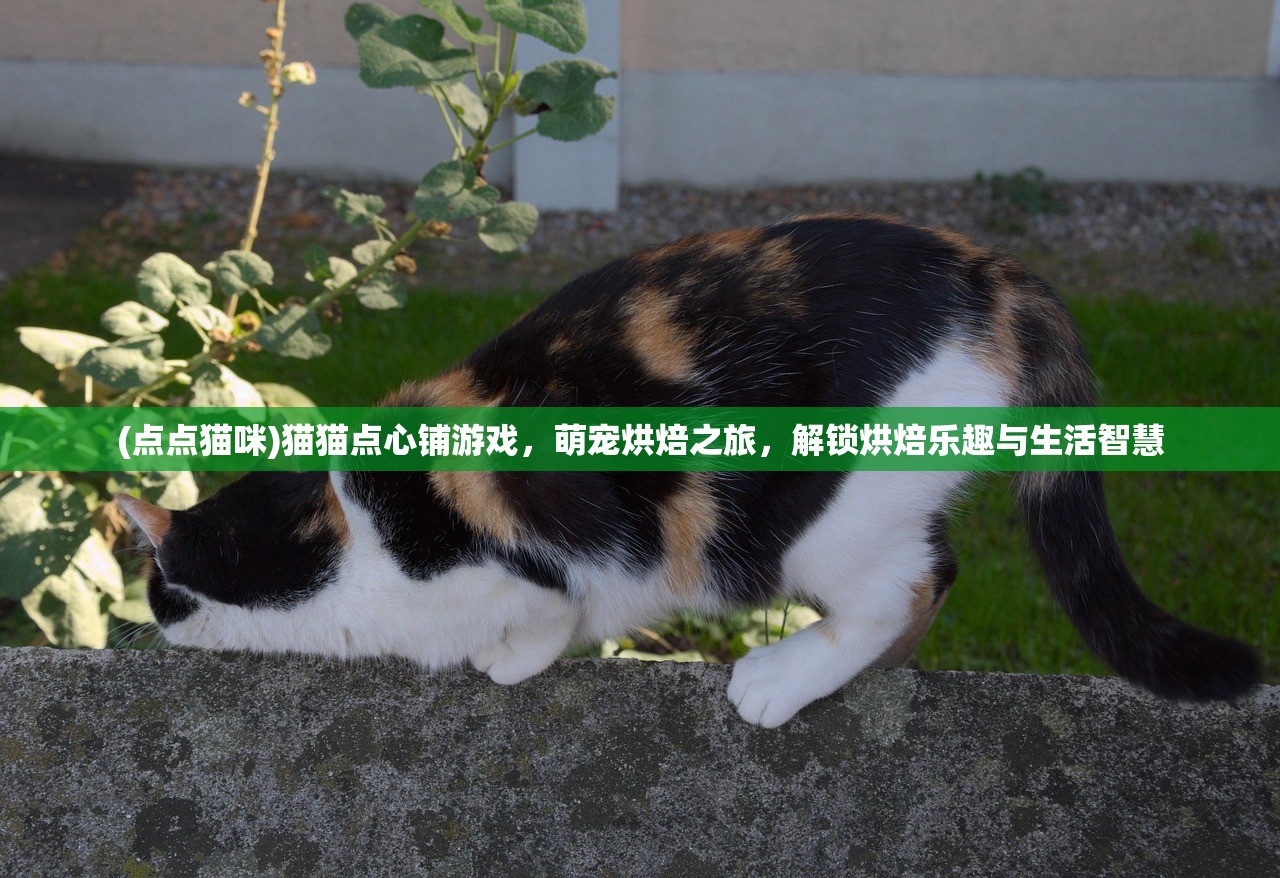 (点点猫咪)猫猫点心铺游戏，萌宠烘焙之旅，解锁烘焙乐趣与生活智慧